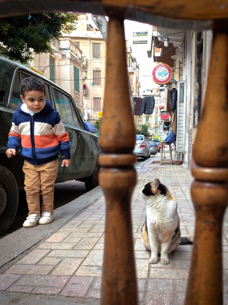 Photograph by Ahmed Musti