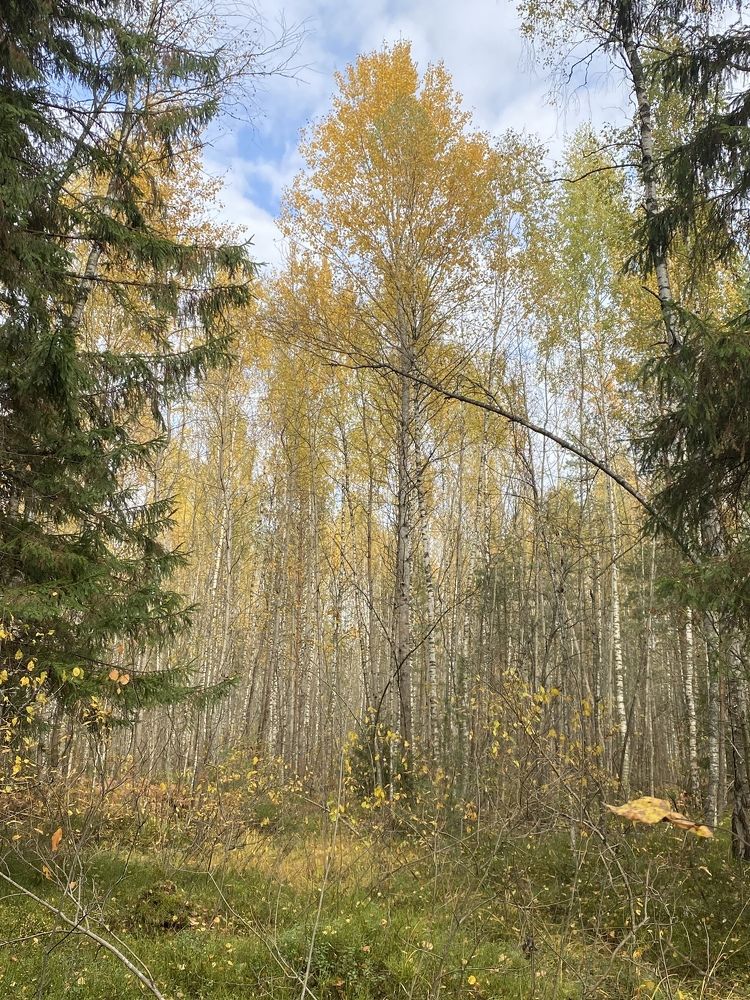 Фотография автора Илья