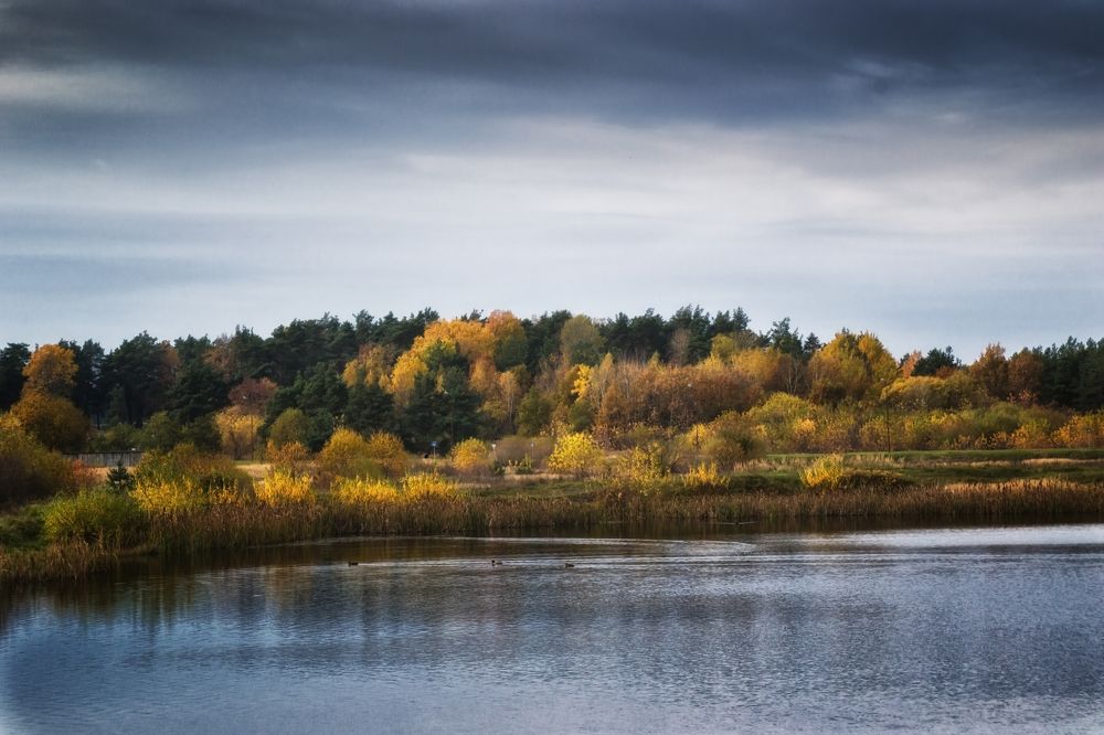 Фотография автора Юлия Кранина