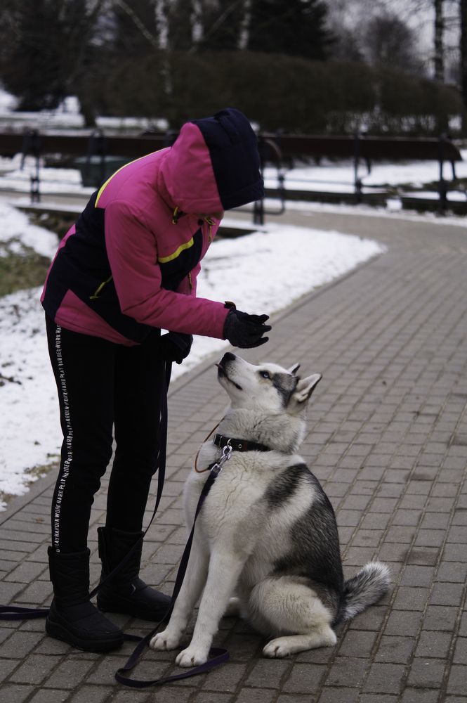 Photograph by Оксана Кобинец