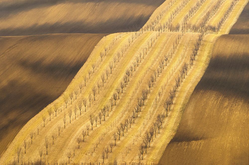 Photograph by Jasmin Suljanovic