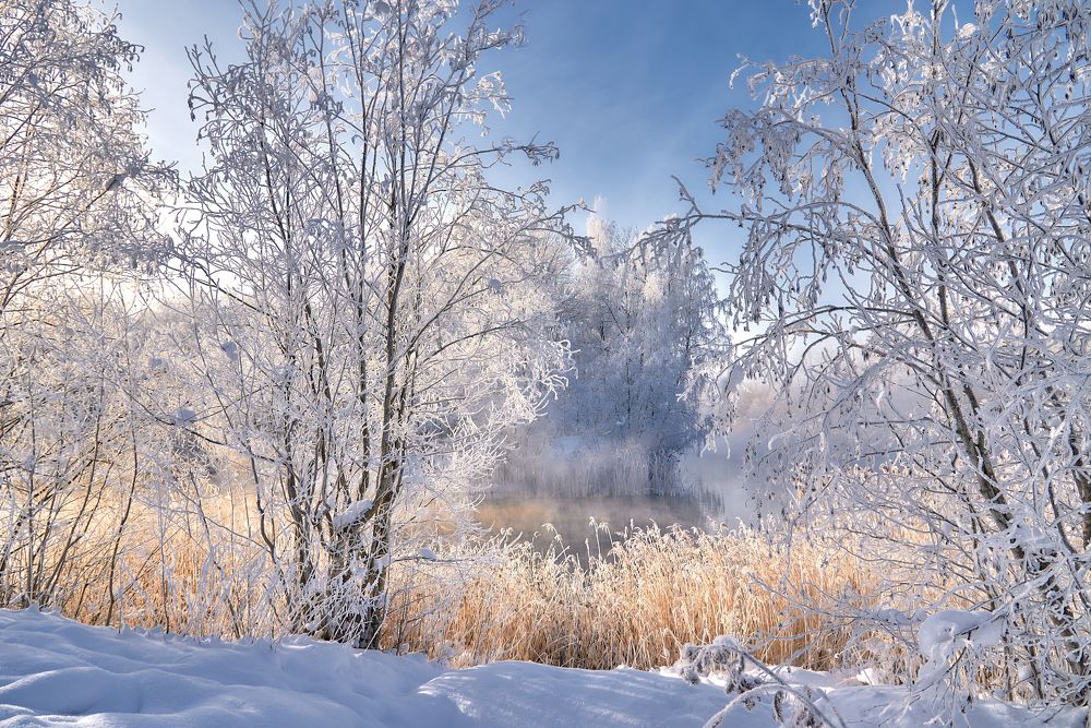 Photograph by Alla Matrosova