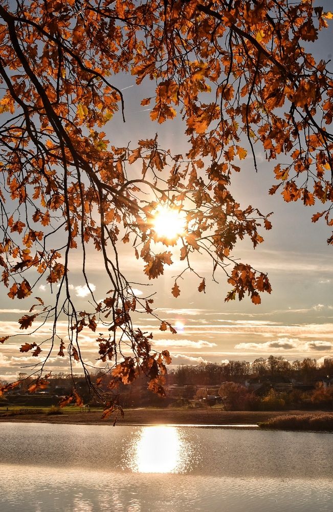 Photograph by Татьяна Абабкова