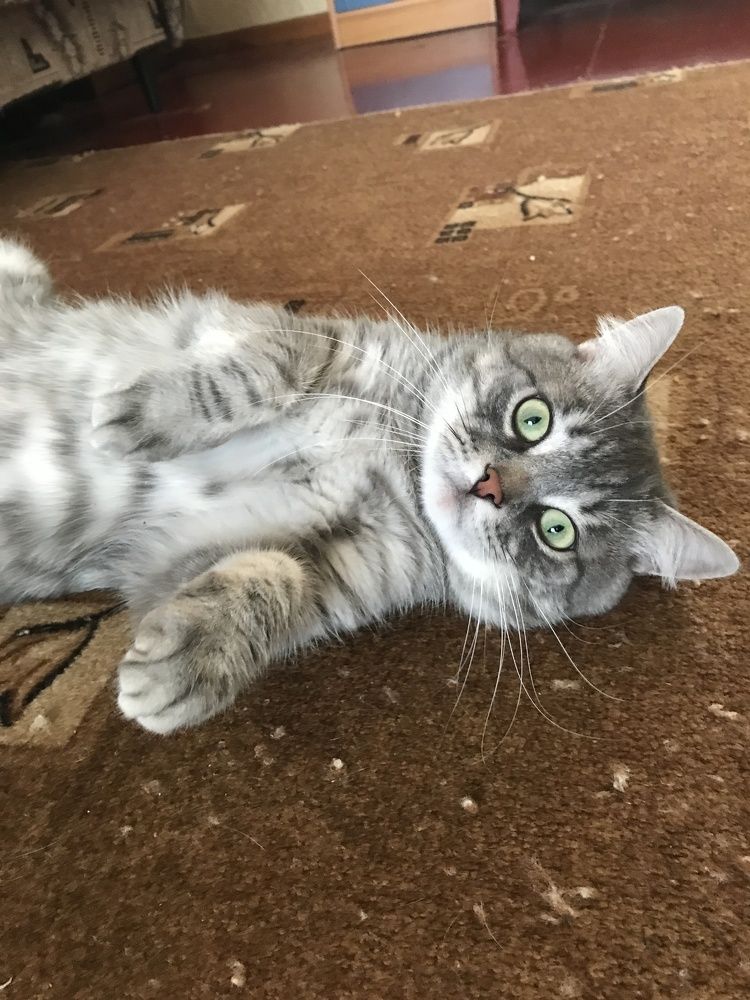 Photograph by Владислава Кузнецова