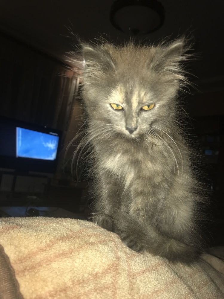 Photograph by Владислава Кузнецова