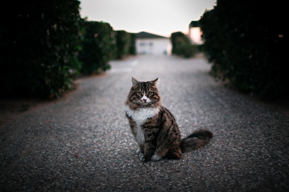 Photograph by Ruslan Dubinovskii