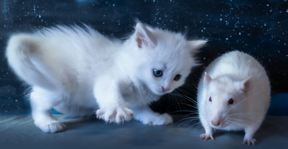 Photograph by Николай Михалев