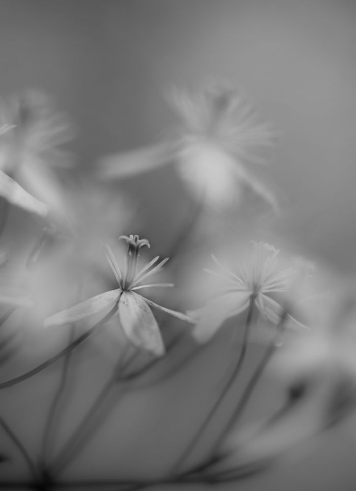 Фотография автора Рохмистрова Мария