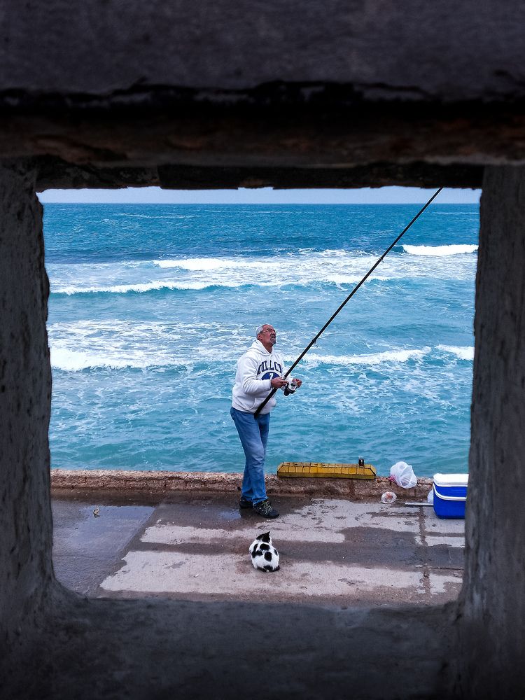 Photograph by Ahmed Musti