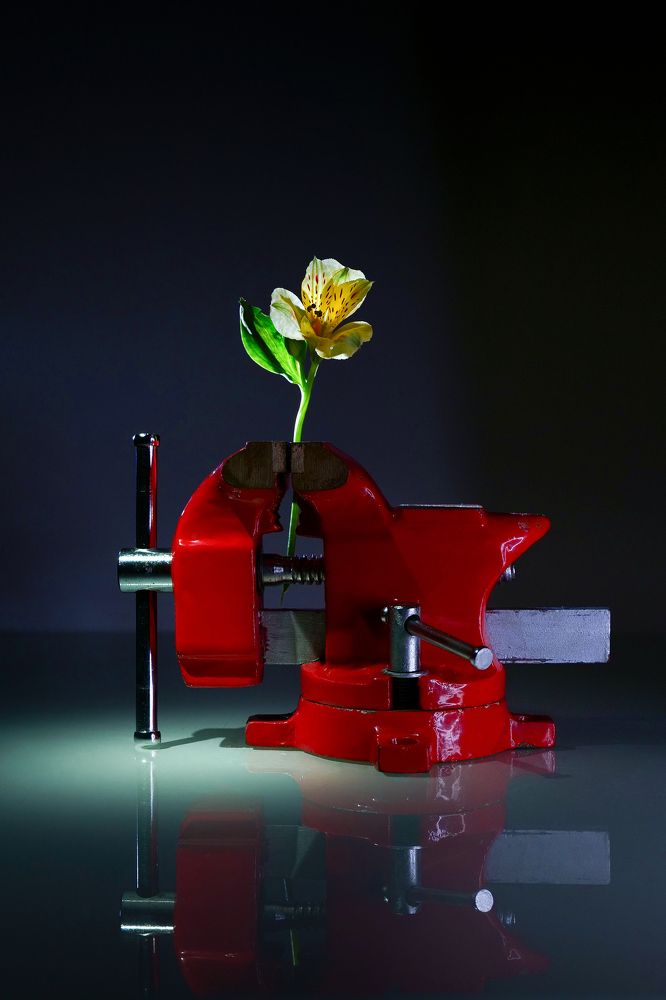 Photograph by Вера Чесновская