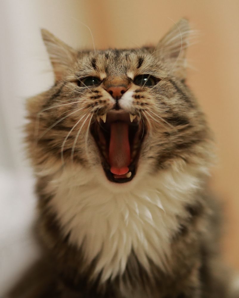 Photograph by Наталья Гранфельд