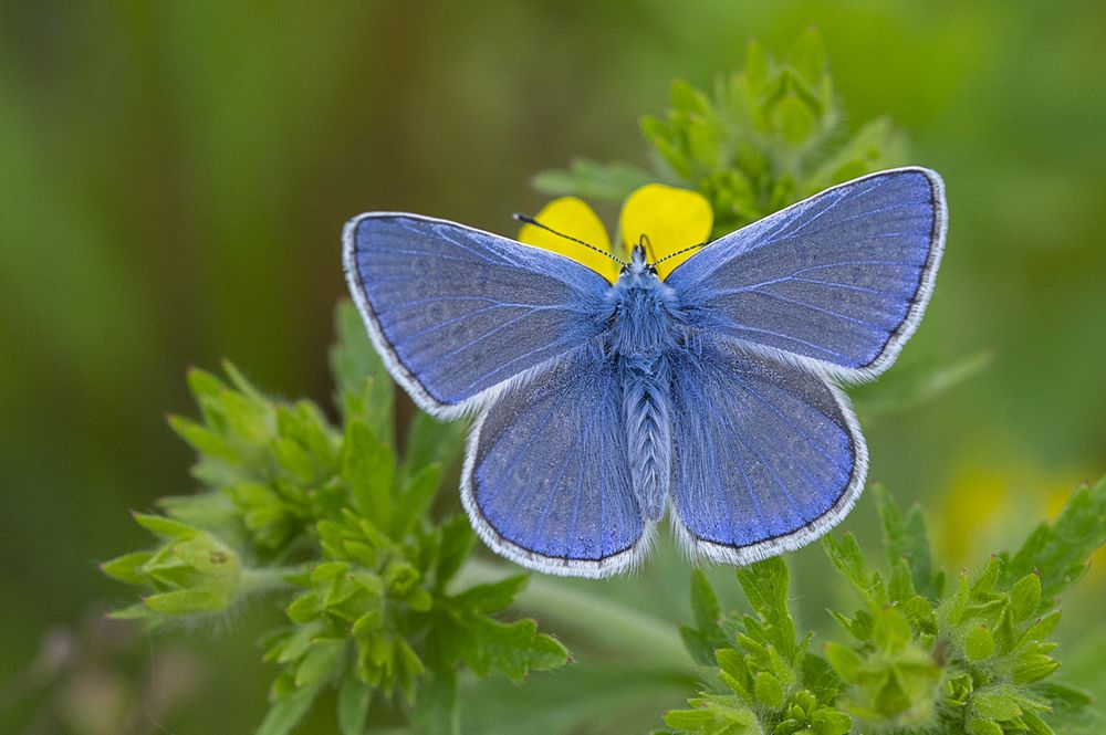 Photograph by Intars Supins