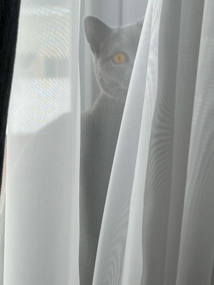 Photograph by Александр Максимов