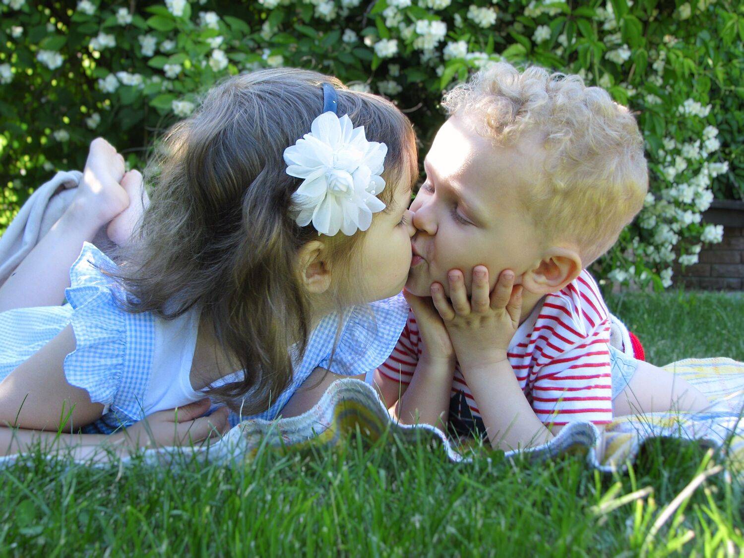 Photo #8938058