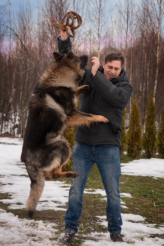 Photograph by Елена Мороз