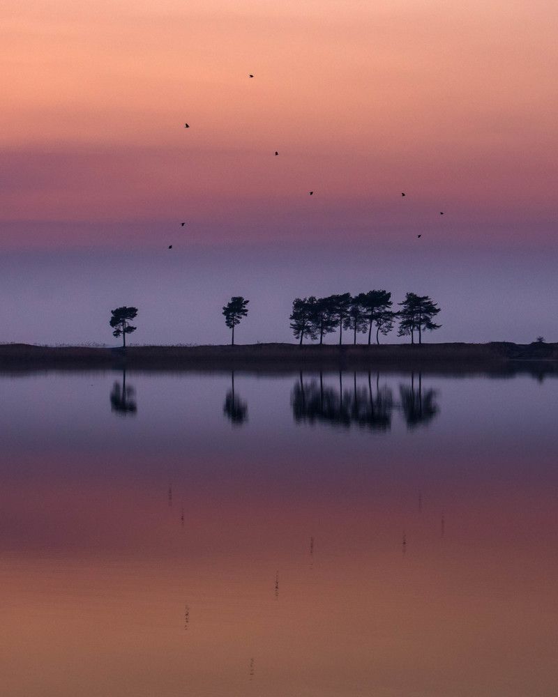 Photograph by Наталья Брюхненко