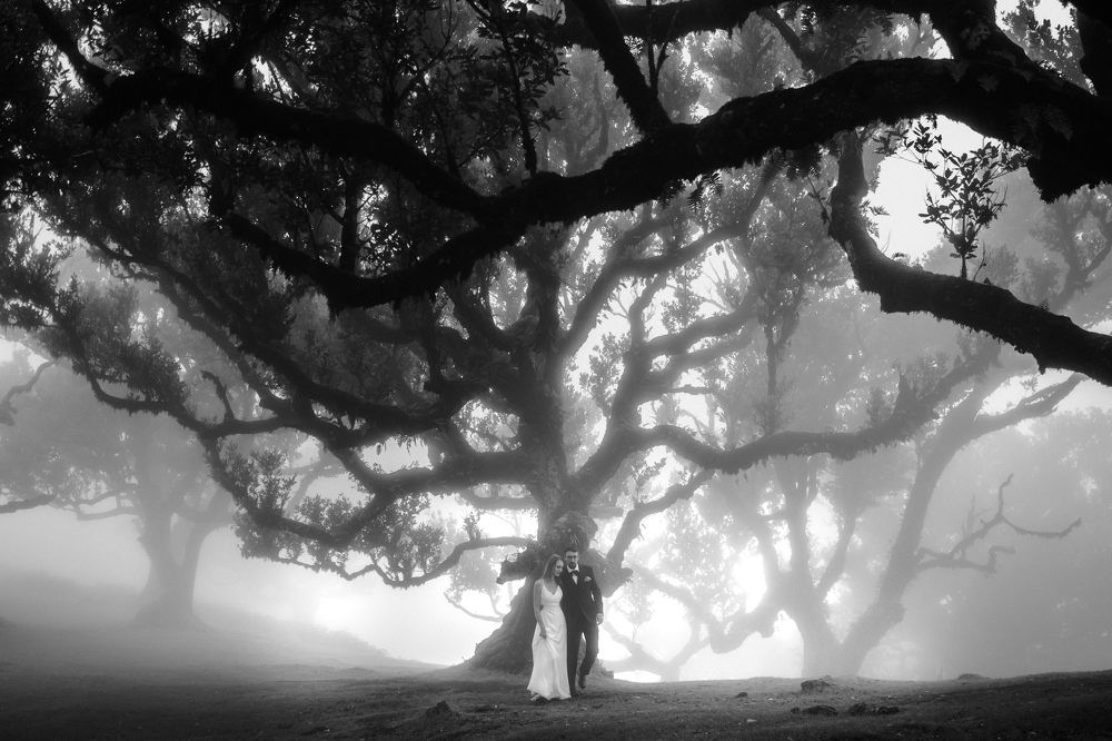 Photograph by Karolina