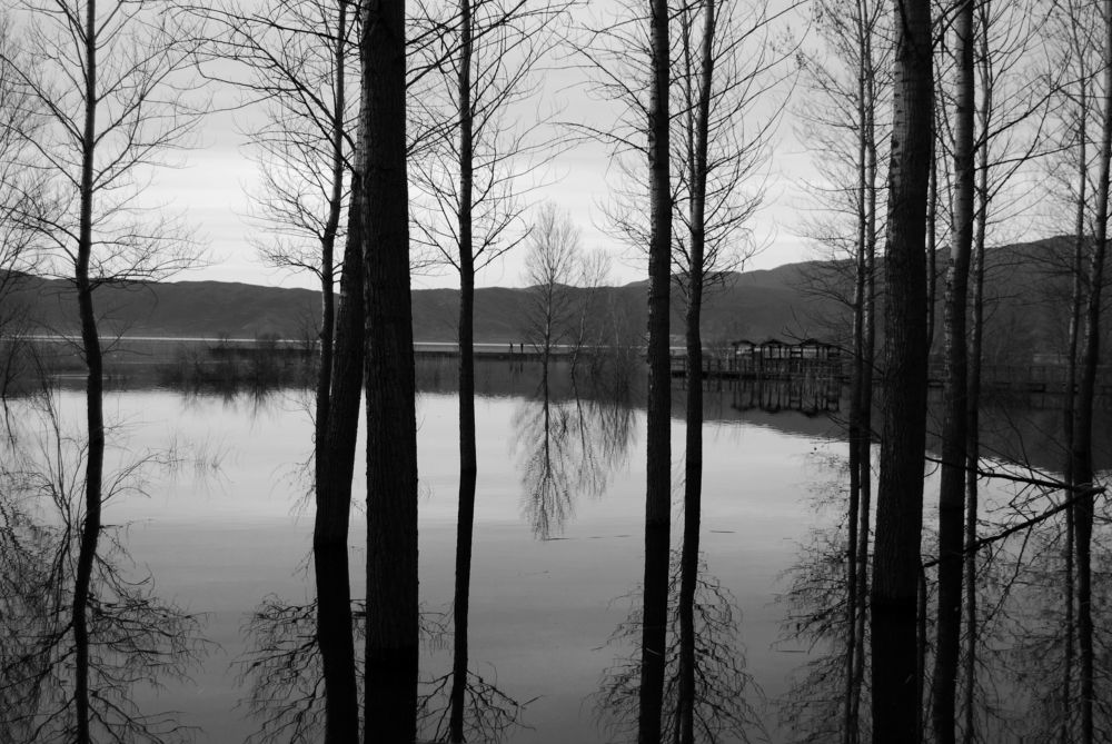 Photograph by ILIAS DIMITRIOU