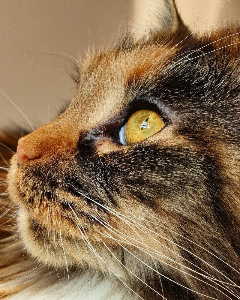 Photograph by Алёна Губинская