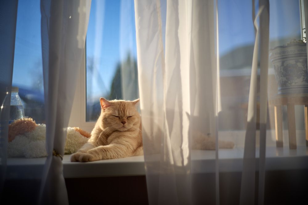 Photograph by Александр Максимов