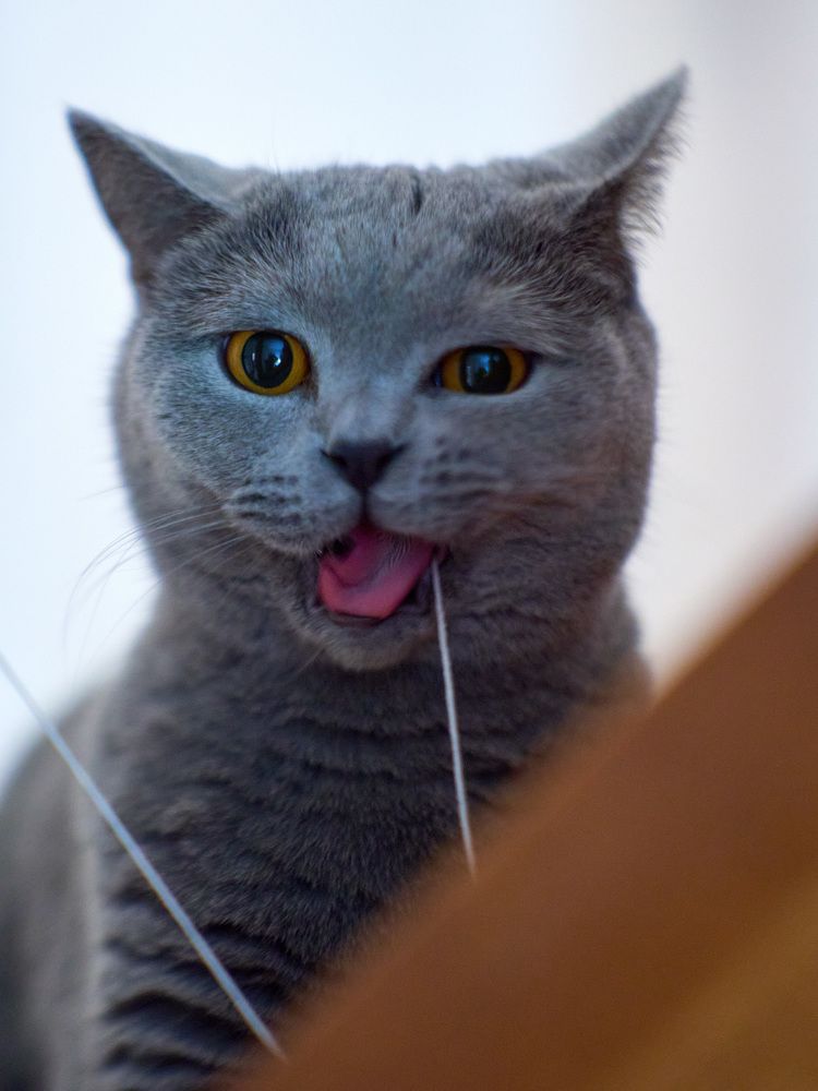 Photograph by Александр Максимов