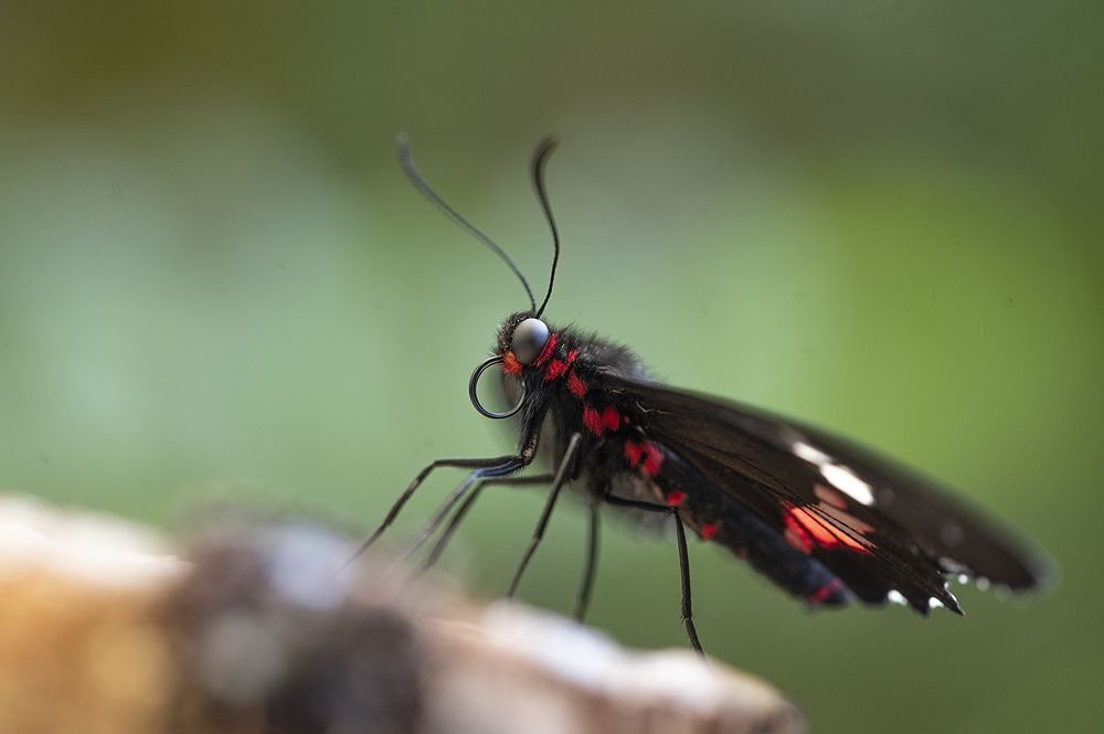 Photograph by Intars Supins