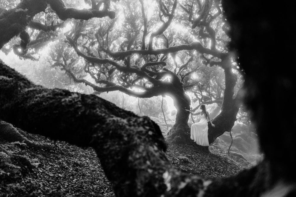 Photograph by Michal