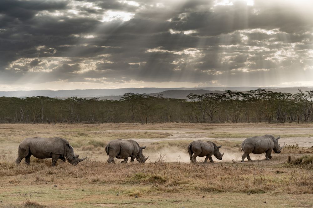 Photograph by Евгения Амелина