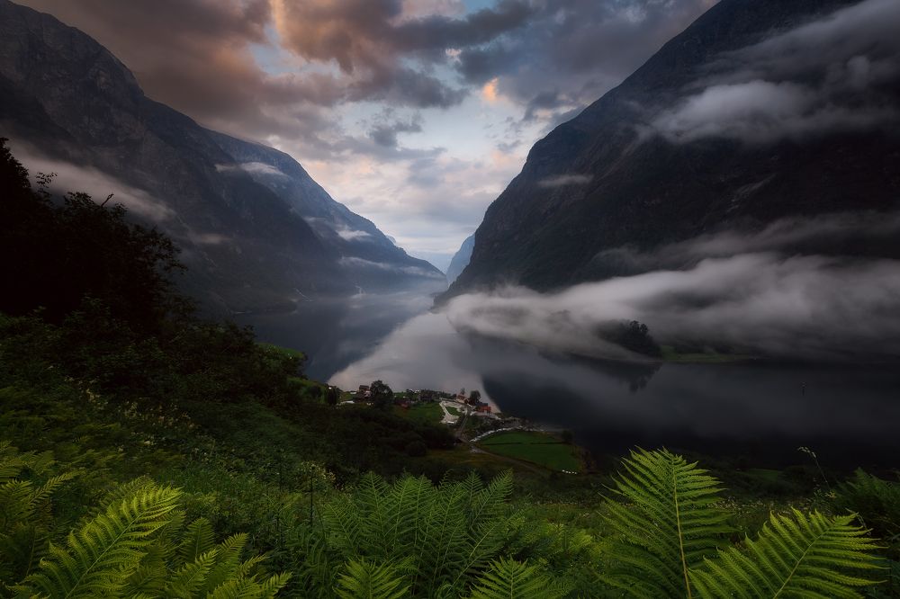 Photograph by Nicola Campanella