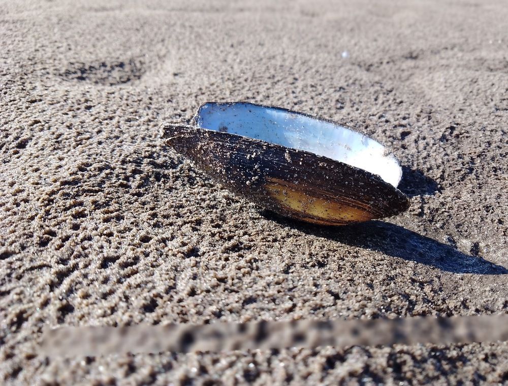 Photograph by Елена Хворостянская