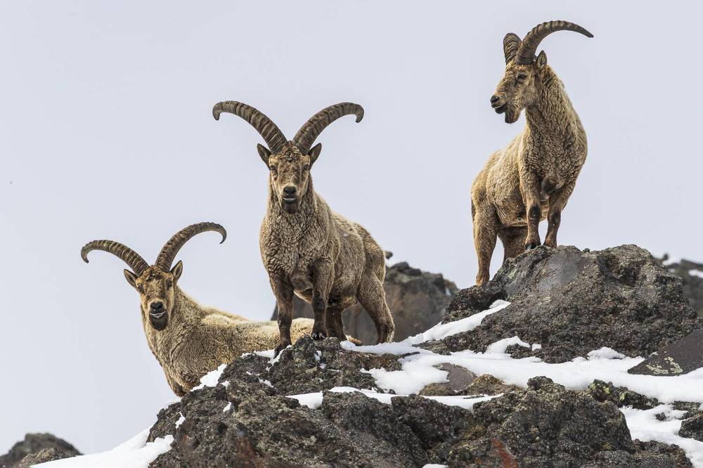 Photograph by Константин Кукушкин