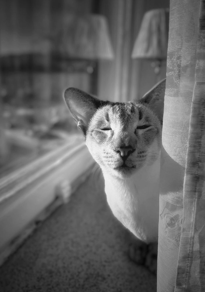 Фотография автора Alina Filimonova