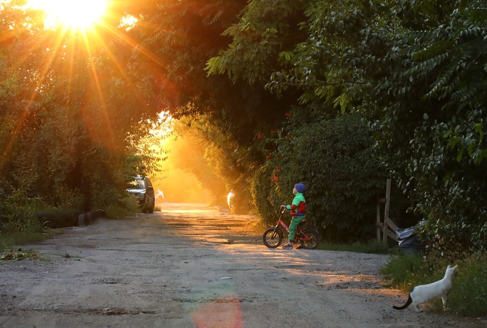 Photograph by Александр Николаев