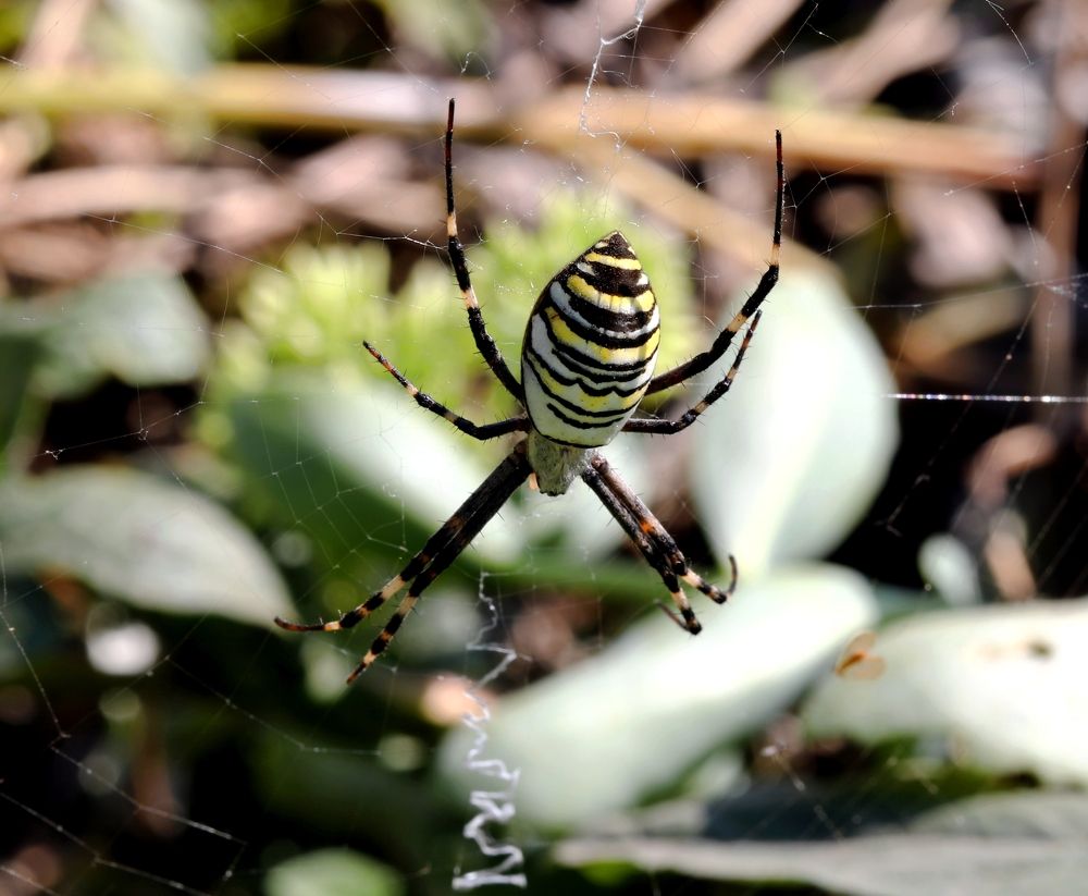 Photograph by Александр Николаев