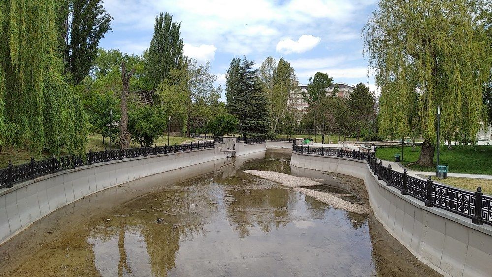 Photograph by Елена Юрьевна Шубенкина