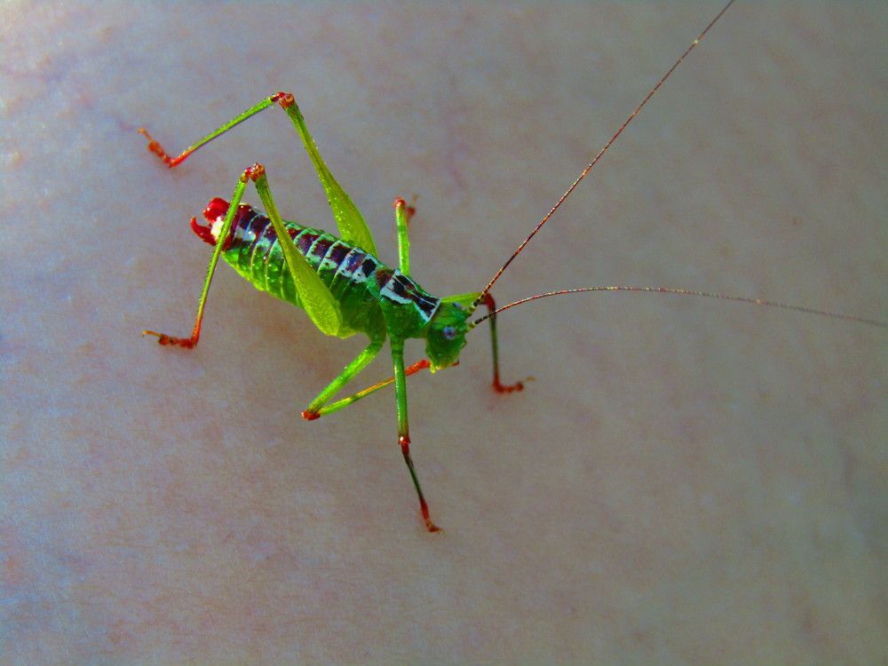 Photograph by Darko Milojevic