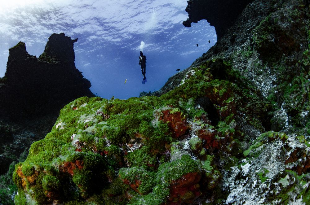 Photograph by ANTONIO RUVER BANDEIRA