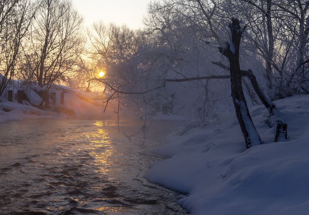 Photograph by Феденкова Татьяна