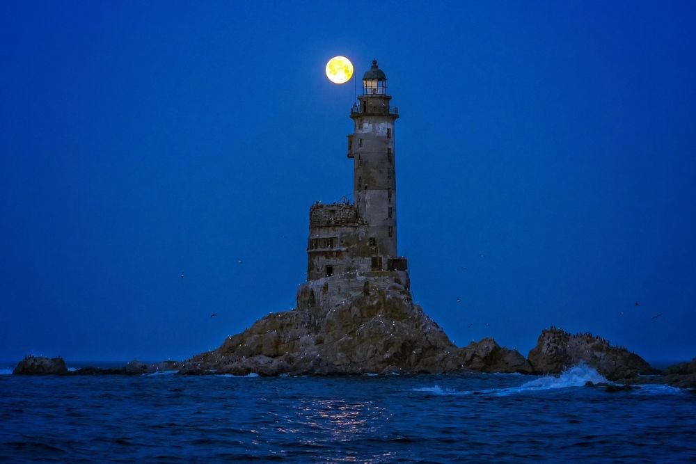 Фотография автора Дмитрий Дон