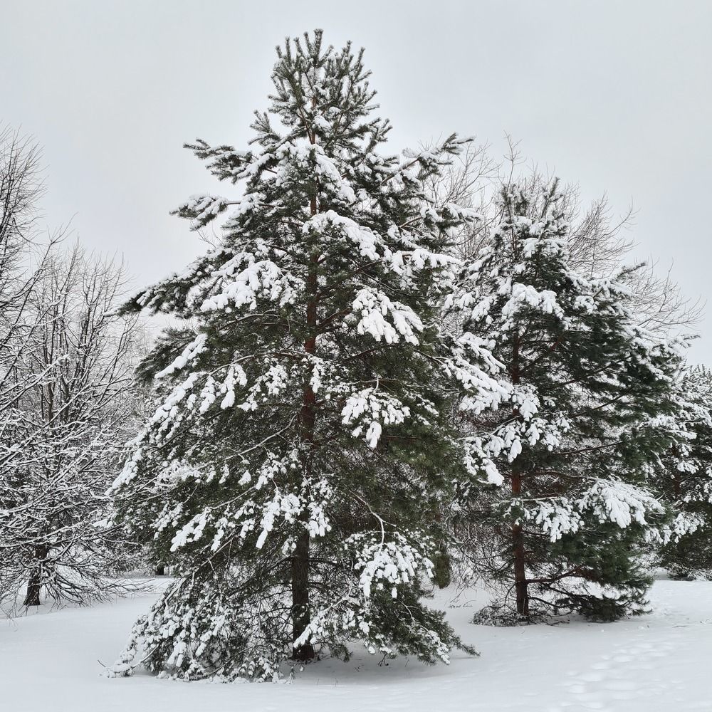 Фотография автора Ирина
