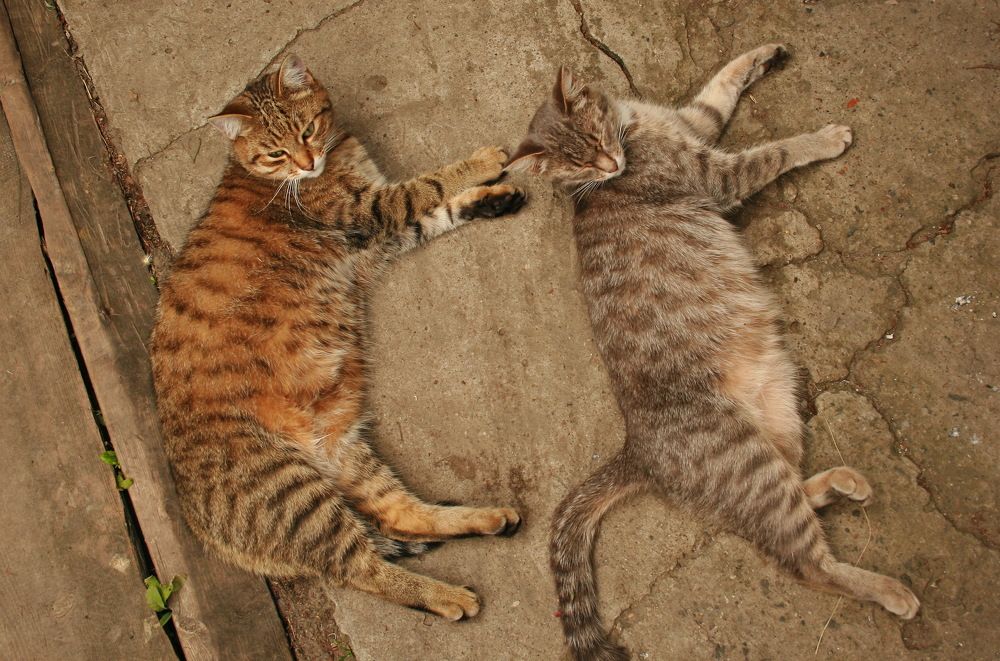 Photograph by Владимир Сафронов