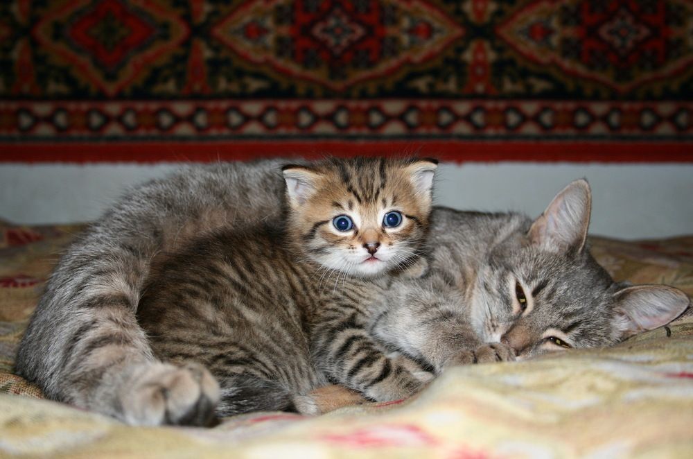 Photograph by Владимир Сафронов