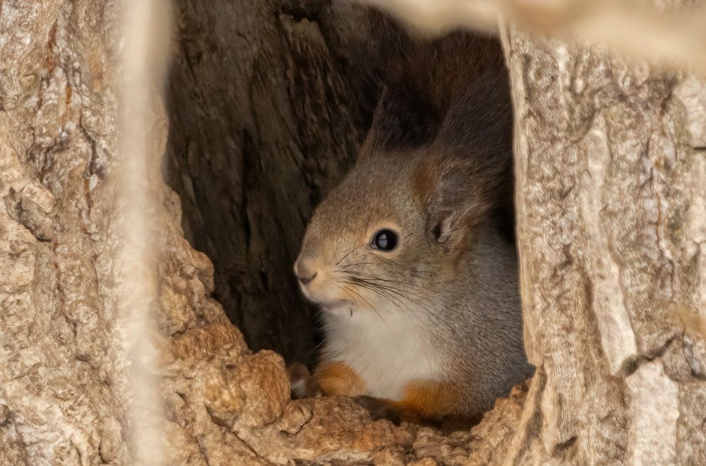 Photograph by Сергей