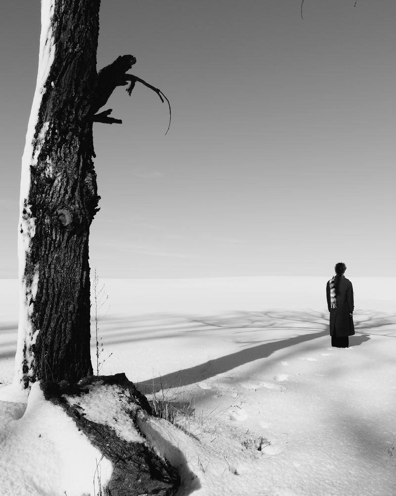 Мечта за горизонтом