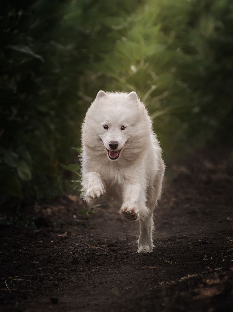 Photograph by Григорьева Юлия