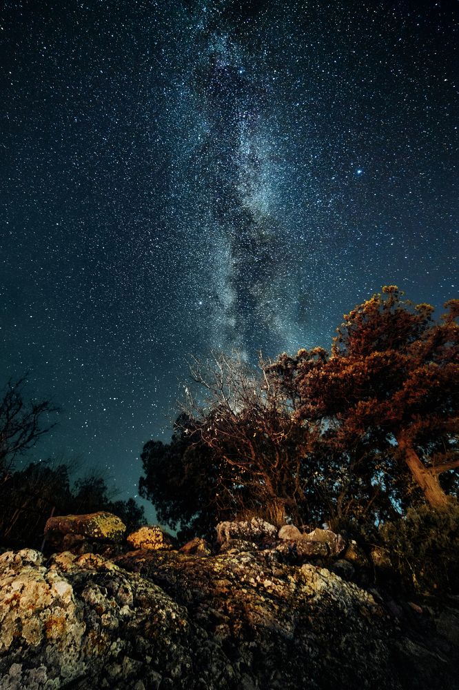 Фотография автора Дмитрий Смирнов