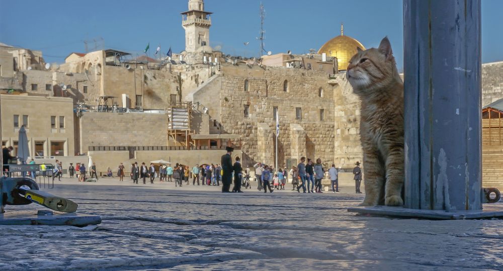 Photograph by Igor Tourovski