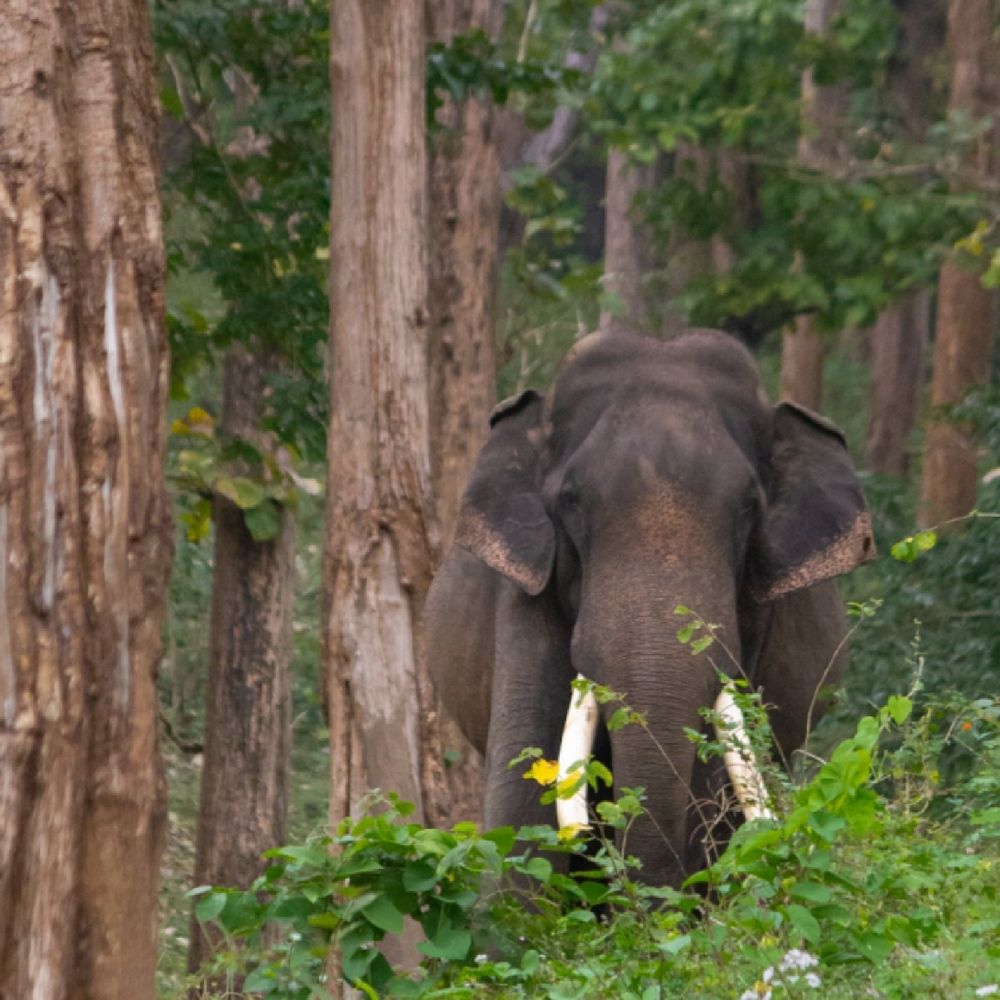 Photograph by Samyuktha Narayanan
