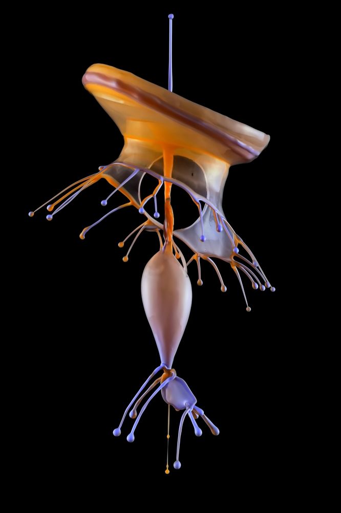 Фотография автора Илан Грабоис