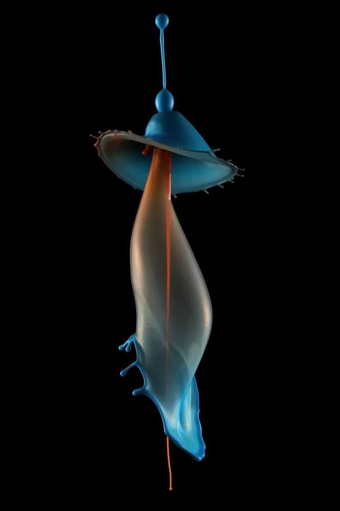 Drops ... drops..drops...